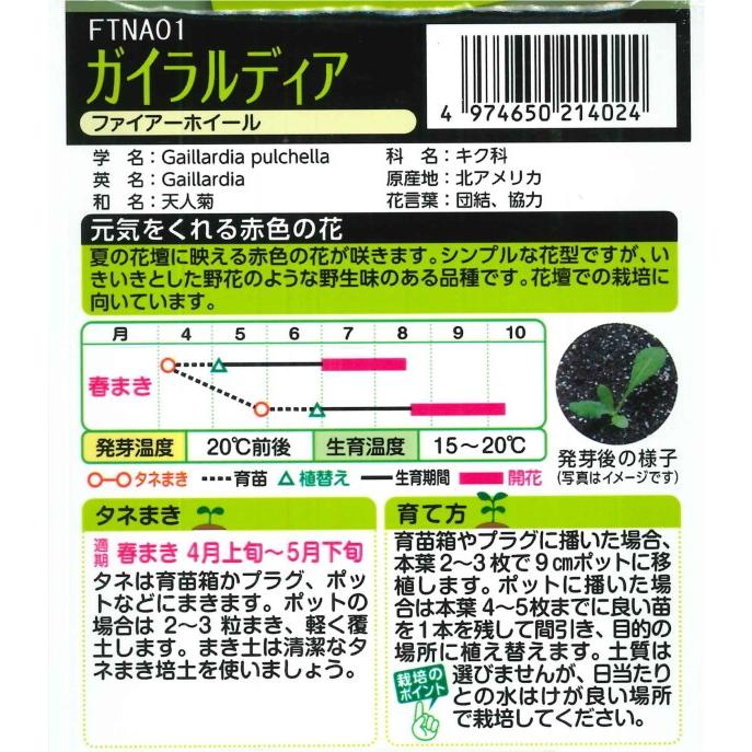 ガイラルディア ファイアーホイール 注目のブランド タキイ種苗 春まき一年草 1ml