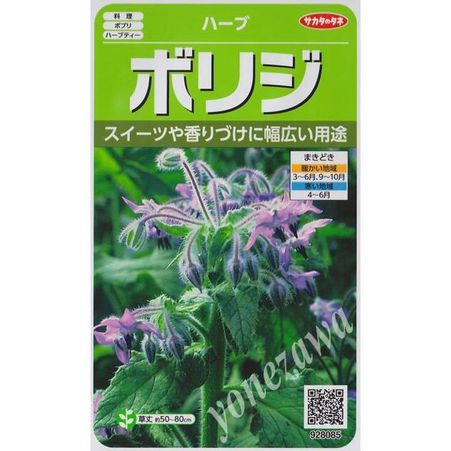 ボリジ1 9ml 春まき 秋まき Belle Ile Nature Org