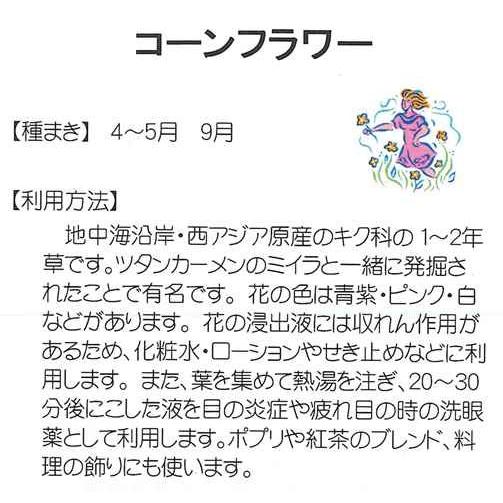 ハーブの種 コーンフラワー 藤田種子 0 5ml 耐寒性一年草 矢車草 矢車菊 秋まき cornflowerf Hana Uta 米沢園芸 Yahoo 店 通販 Yahoo ショッピング
