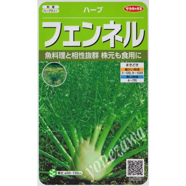 ハーブの種 フェンネル サカタのタネ 1 9ml 耐寒性一 ニ年草 春まき 秋まき 9280 fennel Hana Uta 米沢園芸 Yahoo 店 通販 Yahoo ショッピング