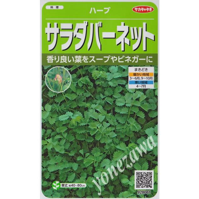 ハーブの種 サラダバーネット サカタのタネ 1 9ml 春まき 多年草 秋まき 返品不可