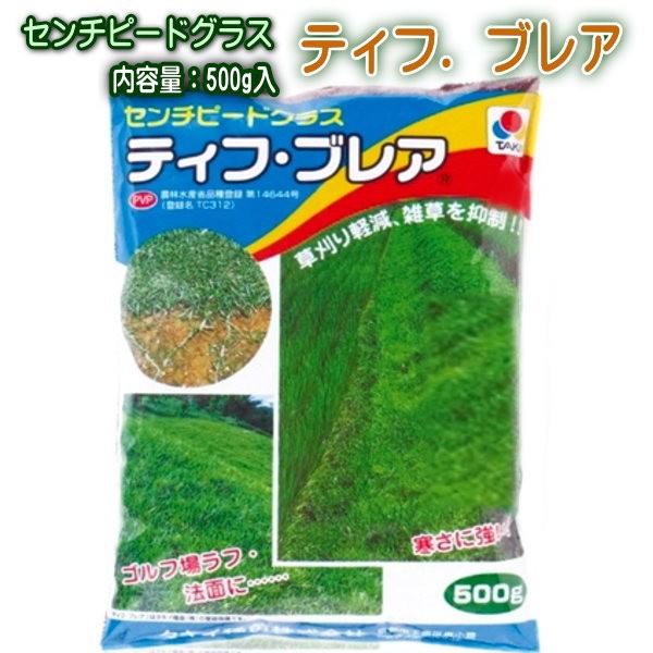 ☆送料無料☆【センチピードグラス】 ティフブレア（500g）【タキイ
