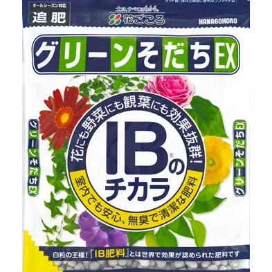 春育ち メール便送料無料【花ごころ】グリーン育ちEX 粒状500g【IB肥料