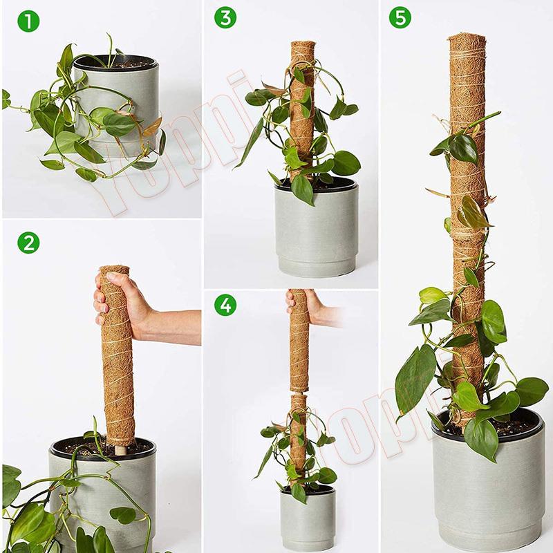 18 Off 即納 植物支柱 園芸支柱 4本セット園芸支柱パーツ 観葉支柱 ココナッツ支柱 ガーデニング用支柱 植物サポート フラワースタンド 延長可能 水分 養分維持