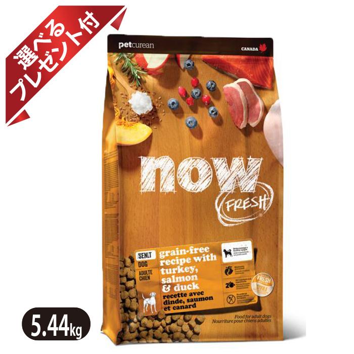 NOW FRESH ナウフレッシュ グレインフリー　アダルト NOW FRESH ナウフレッシュ グレインフリー アダルト 5.44kg 普通粒