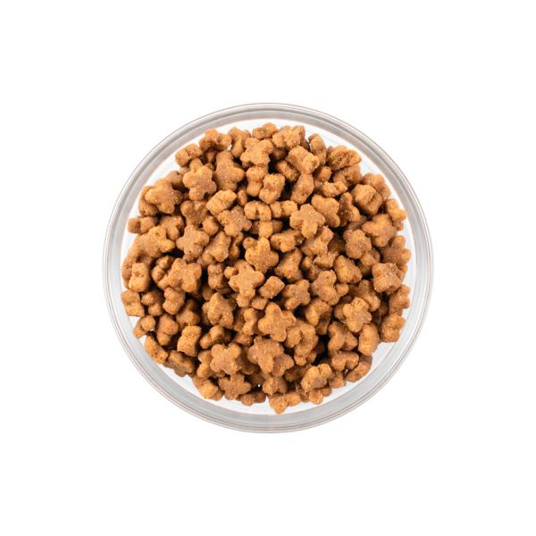 NOW FRESH ナウフレッシュ グレインフリー スモールブリード