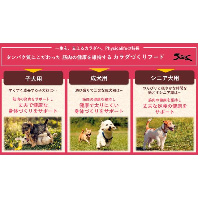ユニ・チャームペット フィジカライフ シニア犬用 チキン＆大豆