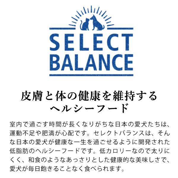 セレクトバランス アダルト ラム 小粒 1才以上の成犬用 7kg ドッグフード 選べるプレゼント付き｜yoriai-dogs｜04