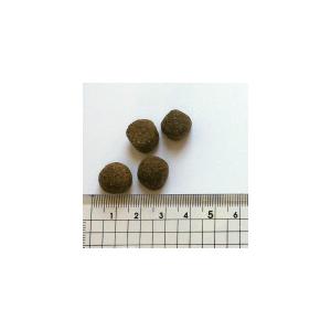 ★選べるプレゼント付き★【BLACKWOOD】ブラックウッド 1000 チキン 20kg ドッグフード 全犬種　離乳後〜老齢期 メンテナンスフード ポイント利用 | BLACKWOOD | 02