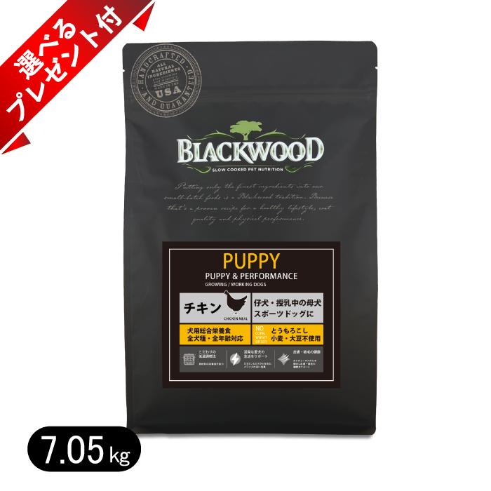 BLACKWOODブラックウッド2000チキン ドッグフード 15kg