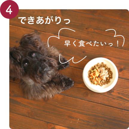 ヘルマン（HERRMANN'S） ビオリオーブ ベニソン ディッシュ 120g 12個