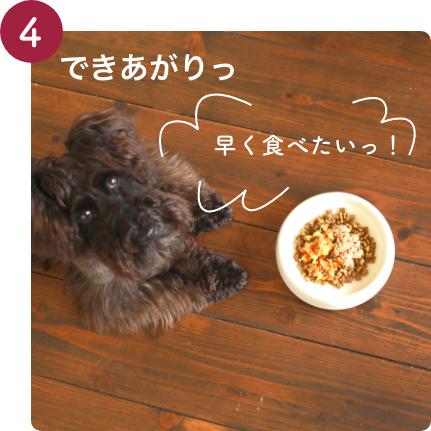 ヘルマン ベニソン ディッシュ 120g 鹿 犬用 ウェットフード 愛犬用栄養補助食 ドッグフード｜yoriai-dogs｜06