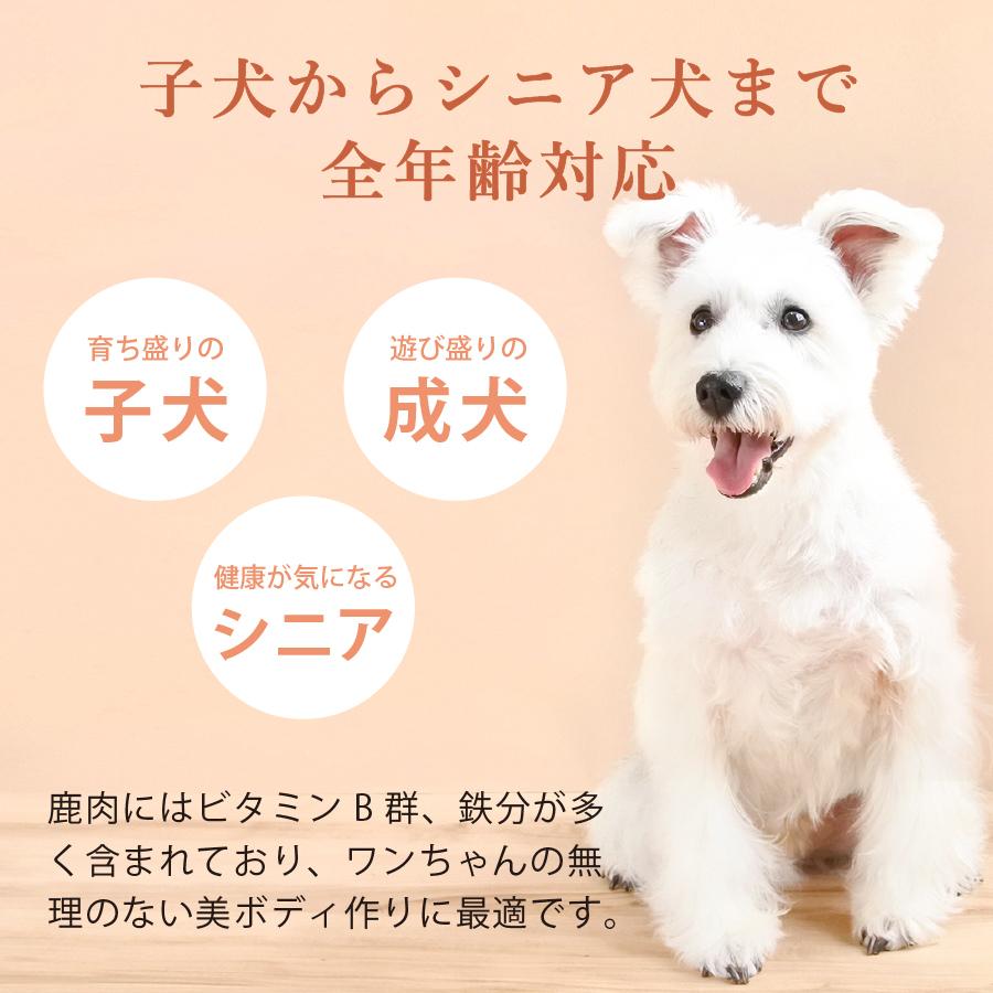 ついに入荷 国産 鹿肉 ドッグフード ギフトナー ベニソンレシピ 900g 3 小粒 Giftner 無添加 全年齢対応 ジビエ 小型犬 シニア パピー 成犬 高齢犬 子犬 体重管理 Cisama Sc Gov Br