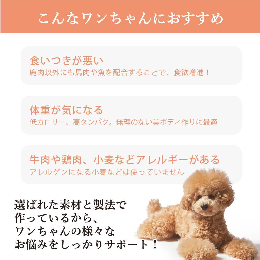 国産 鹿肉 ドッグフード ギフトナー ベニソンレシピ 900g 小粒 Giftner 無添加 全年齢対応 ジビエ 小型犬 シニア パピー 成犬 高齢犬 ヨリアイdogs 通販 Yahoo ショッピング