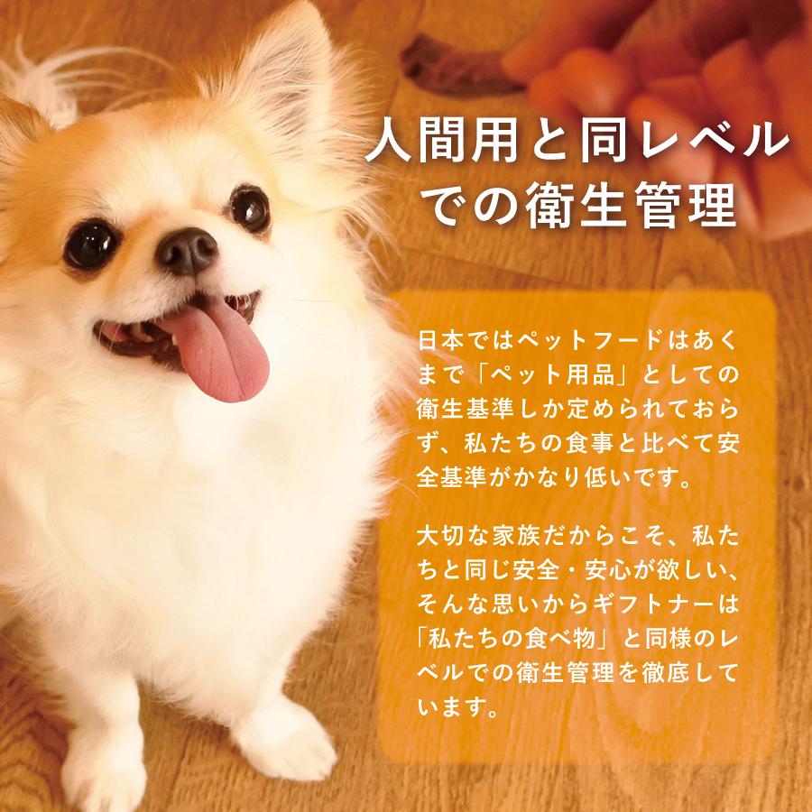 ギフトナー 国産 鶏むね ジャーキー 35g 犬 猫 おやつ 無添加｜yoriai-dogs｜10