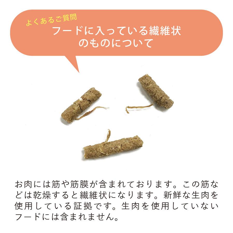 国産 馬肉 ドッグフード ギフトナー 馬肉レシピ 900g×3 小粒