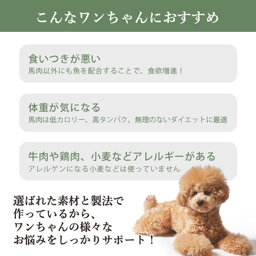 国産 馬肉 ドッグフード ギフトナー 馬肉レシピ 900g 小粒 GIFTNER 無