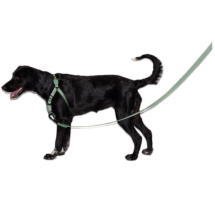 ジードッグ ARMY GREEN LEASH S リード zee.dog アーミーグリーン 小型犬 中型犬｜yoriai-dogs｜04