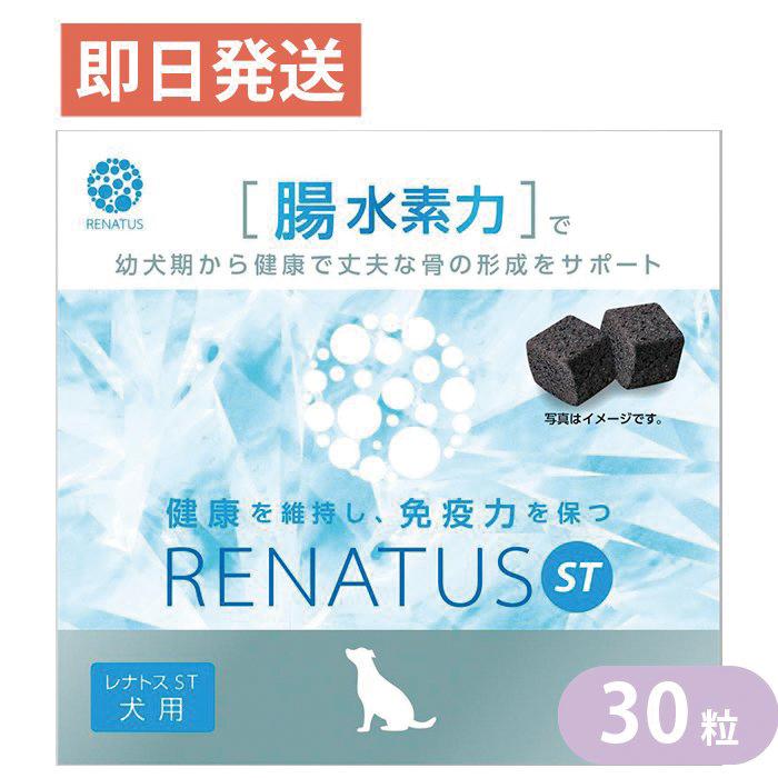 レナトスST 水素サプリメント 30粒 愛犬用 レナトスジャパン 国産 