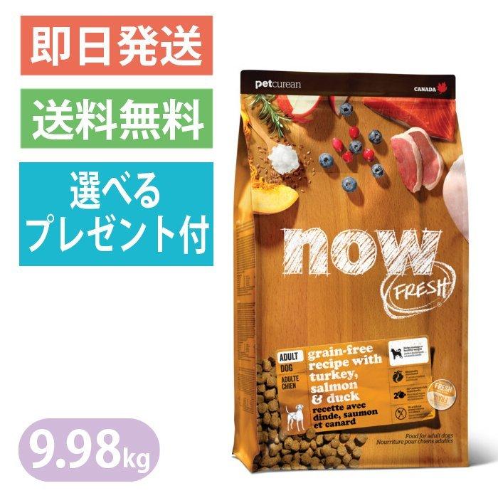 NOW FRESH ナウフレッシュ グレインフリー アダルト 9.98kg 普通粒