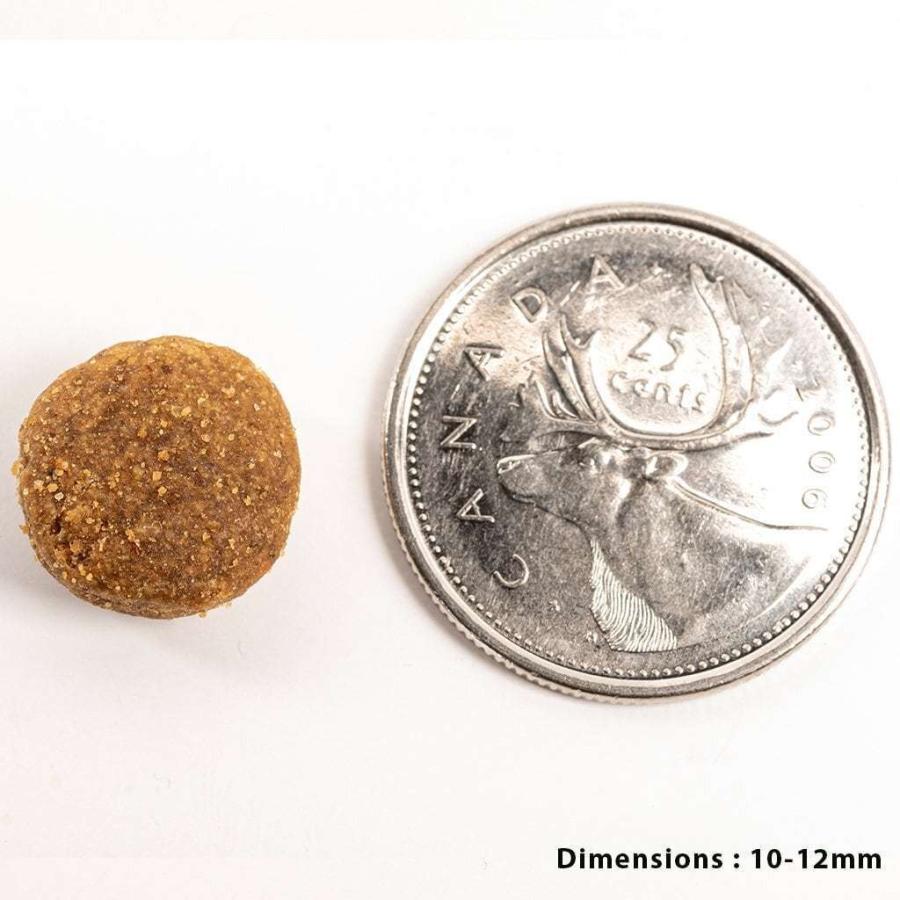 ペットカインド トライプドライ SAPグリーンラムトライプ 小粒