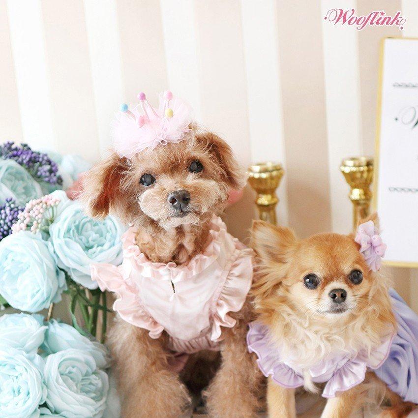 Wooflink】ウーフリンク PERFECT DAY DRESS サイズ5 バイオレット 犬用