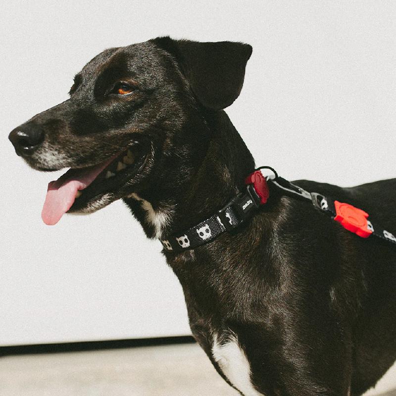 ジードッグ SKULL COLLAR XS 首輪 カラー スカル zee.dog 4562107876361ヨリアイDOGS グリーン