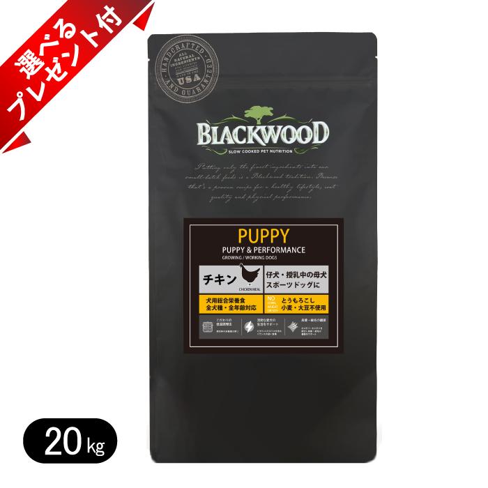 BLACKWOOD ☆選べるプレゼント付き☆【BLACKWOOD】ブラックウッド 