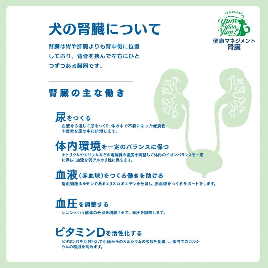 ☆お値下げ☆ yumyumyum! チキン 腎臓 超小粒 50g 62袋