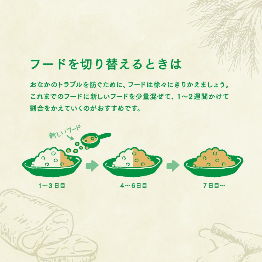 ヤムヤムヤム シニア＆ライト チキン ドライタイプ 500g 小粒