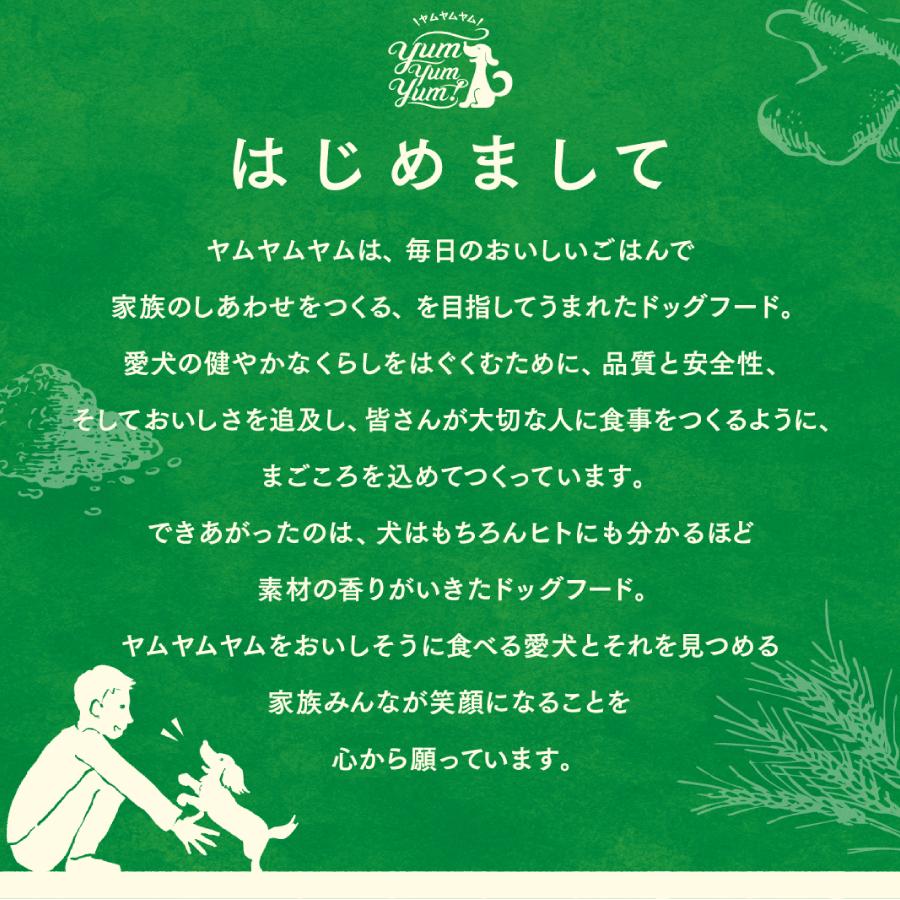 ヤムヤムヤム シニア＆ライト チキン やわらかドライタイプ 800g 小粒 ドッグフード Yum Yum Yum! 国産｜yoriaidogs-green｜05