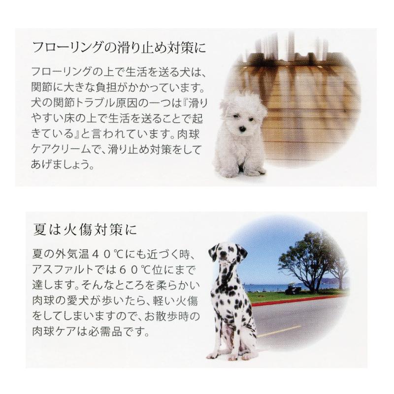 肉球ケアオールインワンジェルクリーム　C35/小型犬用（滑り止め・保湿）｜yoriaidogs-green｜03