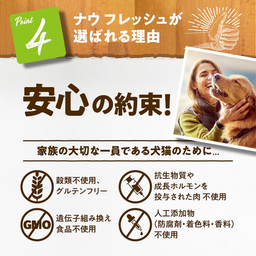NOW FRESH ナウフレッシュ グレインフリー スモールブリード アダルト