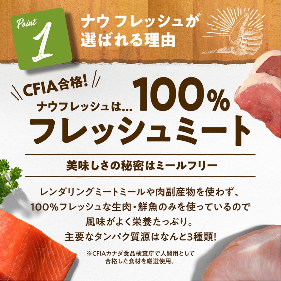 NOW FRESH ナウフレッシュ グレインフリー スモールブリード シニア