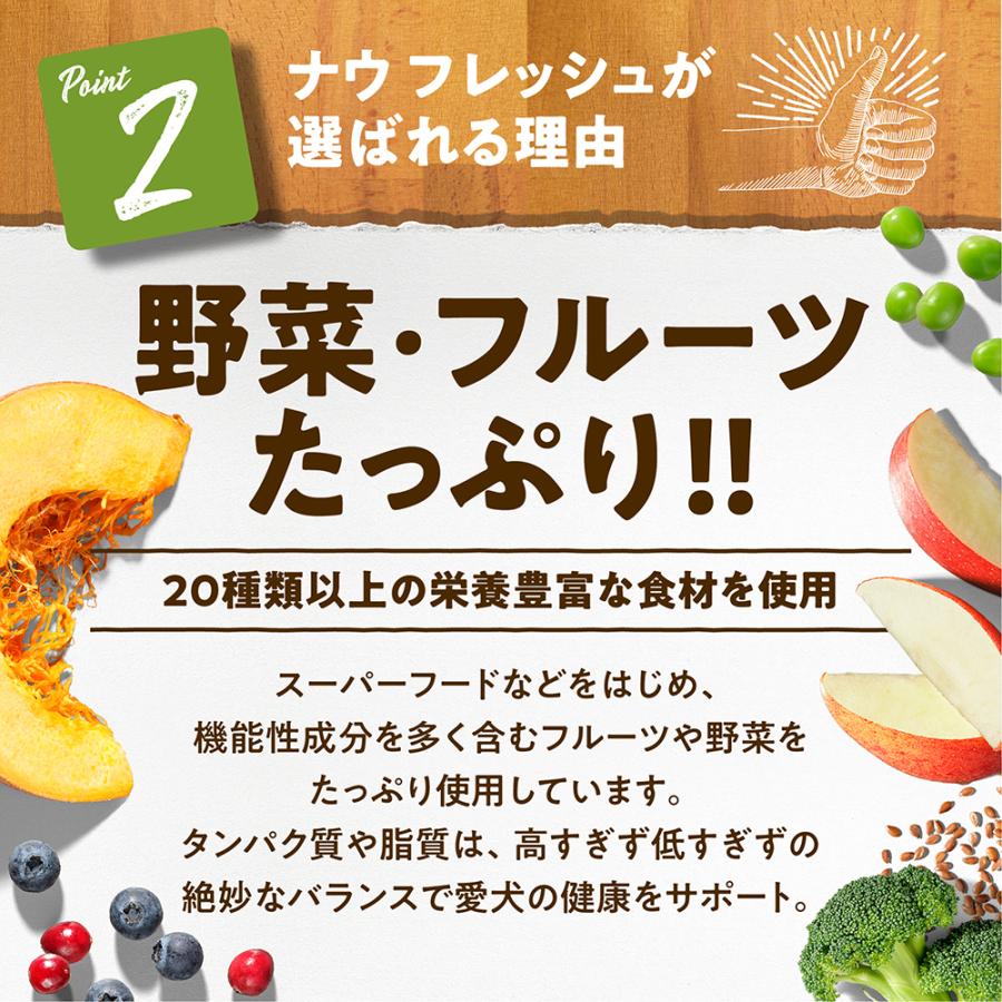 NOW FRESH ナウフレッシュ グレインフリー スモールブリード シニア