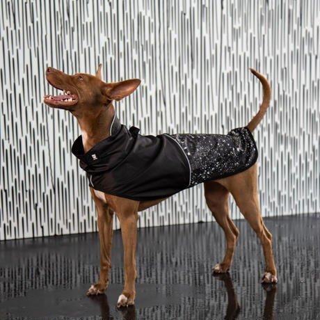 zeedog 犬用レインコート XLサイズ zee.dog】ジードッグ zee.dog RAINCOAT レインコート XL ブラック OZZY