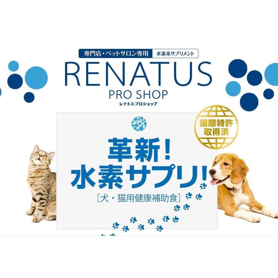 RENATUS(レナトス)ST 犬用サプリメント 5袋セット 【公式通販】