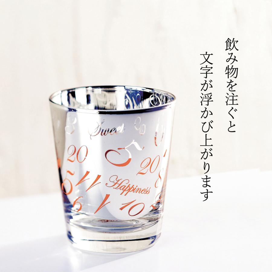 真空ステンレスタンブラー グラスセット 溶けない氷付 シルバー Gr 1596 うつわとギフト Yorisou 通販 Yahoo ショッピング