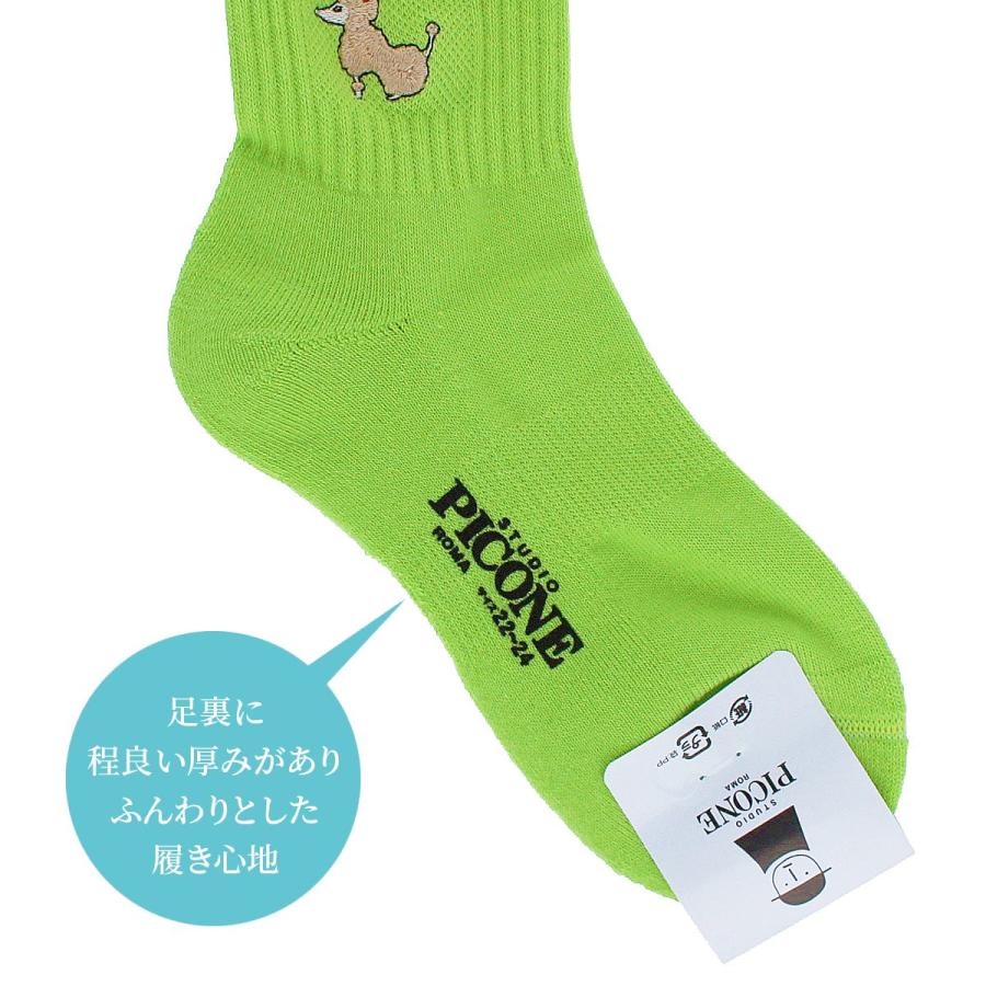 STUDIO PICONE（スタジオピッコーネ） 公式 PICONE ピッコーネ 人気