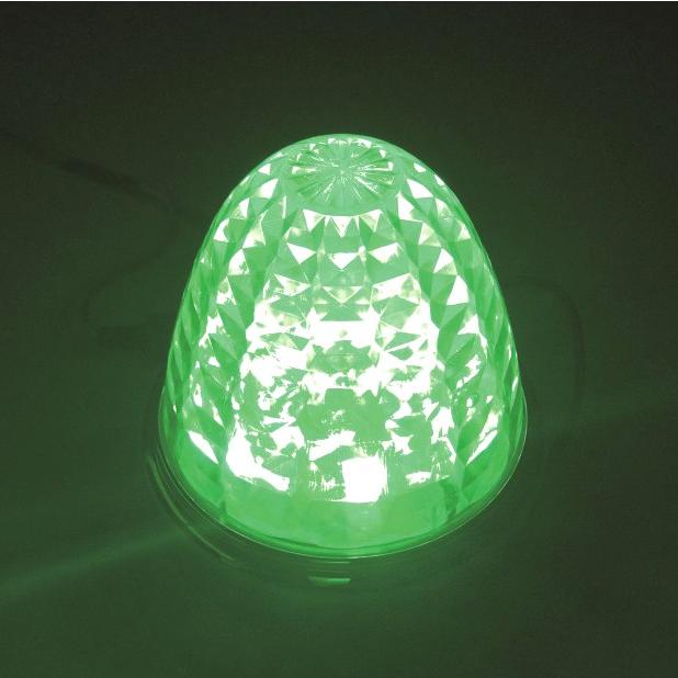 激光 緑 LEDクリスタルハイパワーマーカー(10個セット) JB製 LSL204G