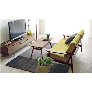 カリモク家具（KARIMOKU FURNITURE） カリモク テレビボード QD5107NE 