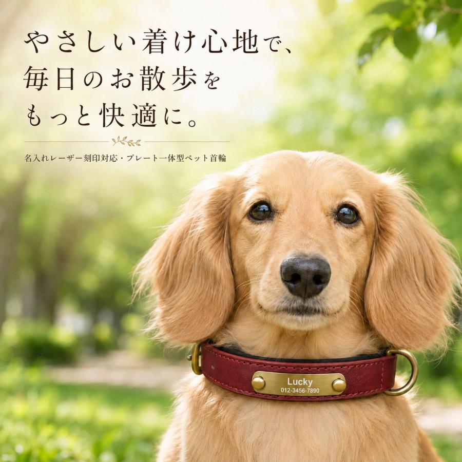 犬 首輪 名入れ無料 名前入り 迷子札 ネームプレート 電話番号