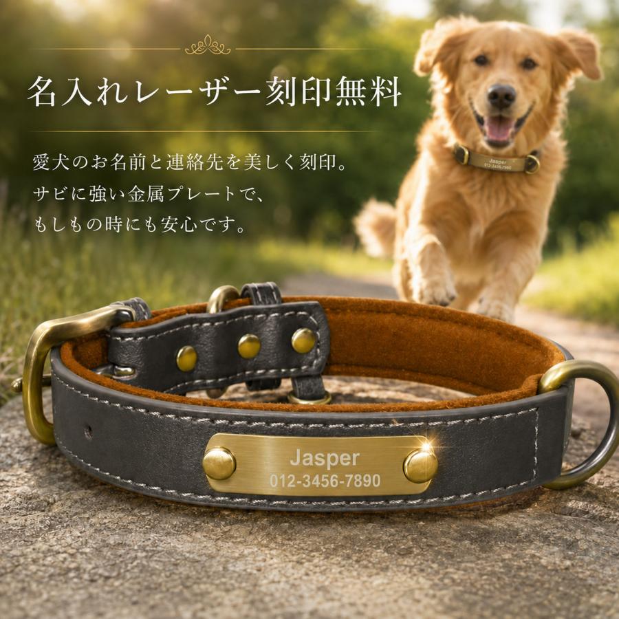 犬 首輪 名入れ無料 名前入り 迷子札 ネームプレート 電話番号