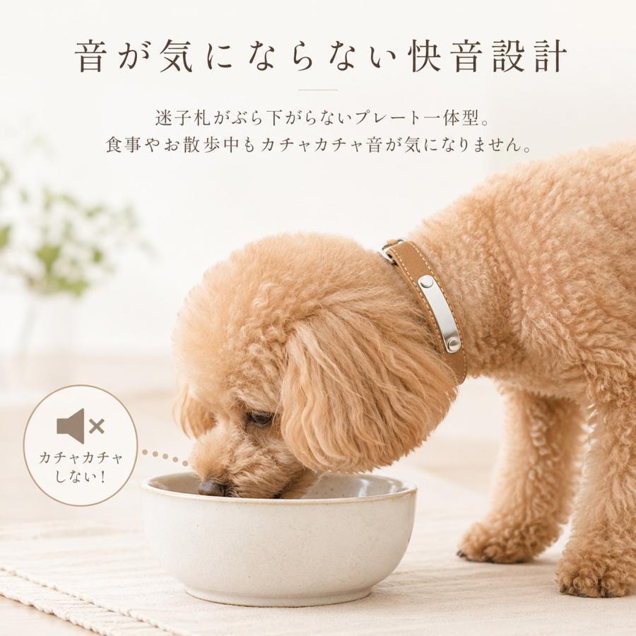 犬 首輪 名入れ無料 迷子札 名前入り 電話番号入り ネームプレート