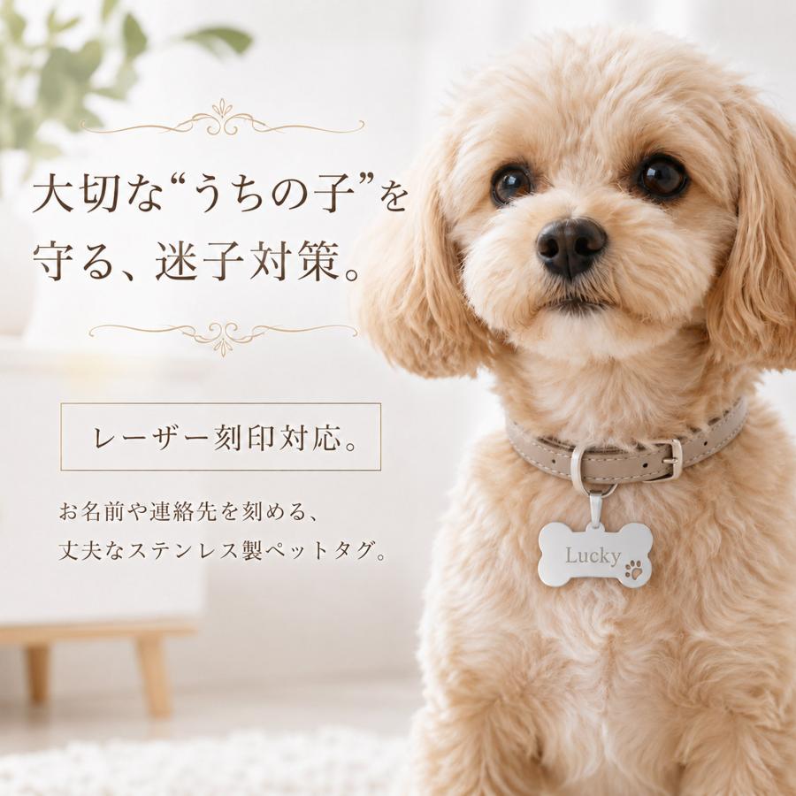 犬 迷子札 ステンレス 骨型 ボーン 肉球 ペットタグ 名入れ無料 名前