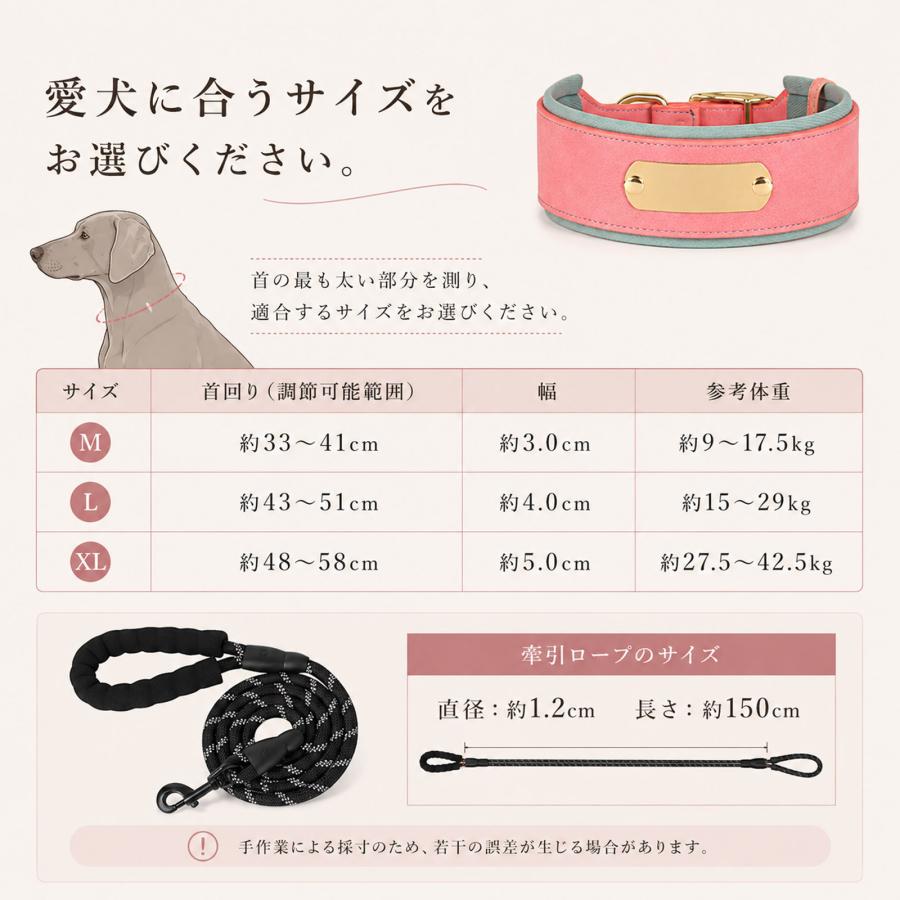 犬 首輪 大型犬 中型犬 幅広 名入れ無料 迷子札 ネームプレート 名前