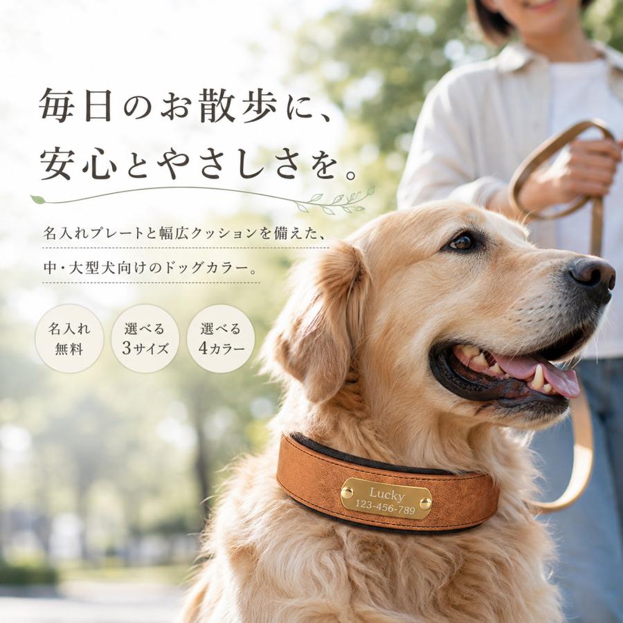 犬 首輪 大型犬 中型犬 幅広 名入れ無料 迷子札 ネームプレート 名前