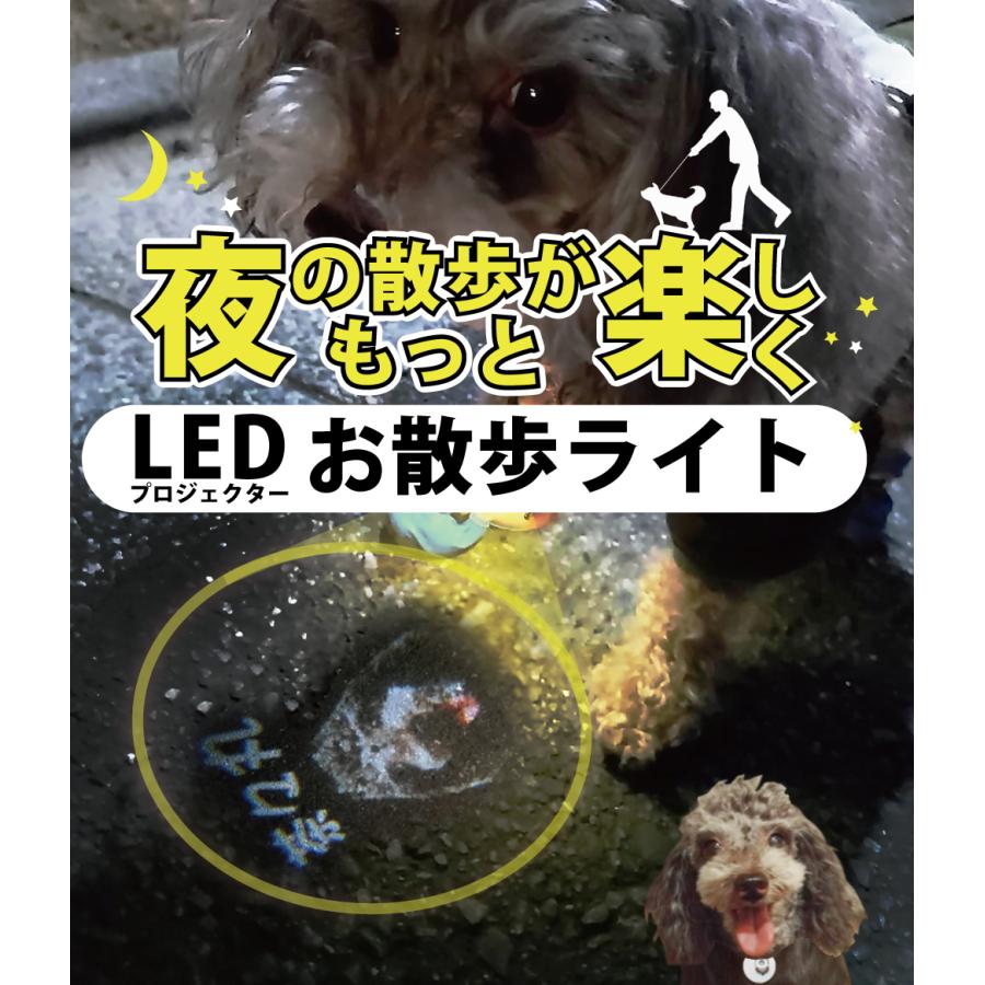 【デザイン無料】 犬 首輪 光る 光る首輪 プロジェクター ライト 散歩 夜 小型犬 中型犬 大型犬 ペット 猫 LED 充電 安全 投影 照らす かわいい　★