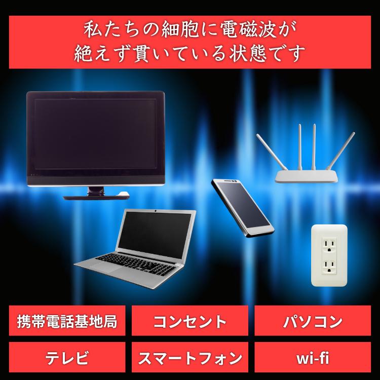 ポイント10倍 5年保証 ソマヴェディック ヴェディック セカンドジェネレーション 13周年記念モデル 送料無料 USB給電 電磁波 ヒーリング_9