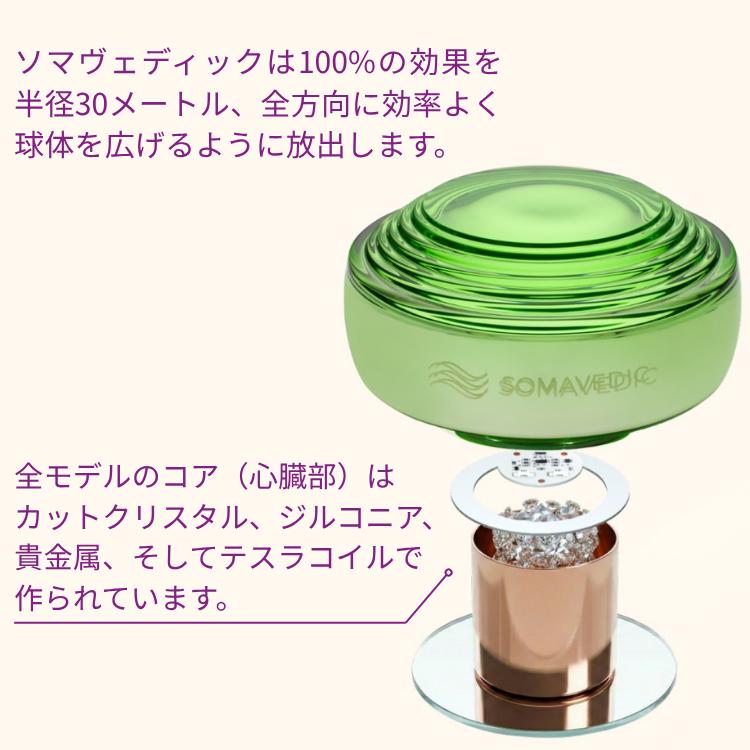 ポイント10倍 5年保証 ソマヴェディック アンバー セカンド